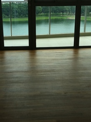 Waterfront Waves (D16), Condominium #375547011